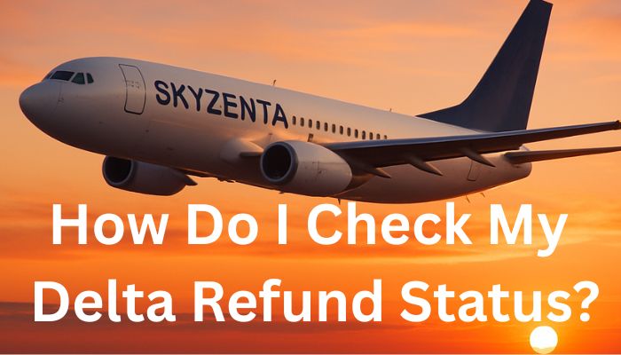 How Do I Check My Delta Refund Status?