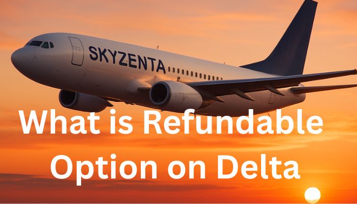 What is Refundable Option on Delta